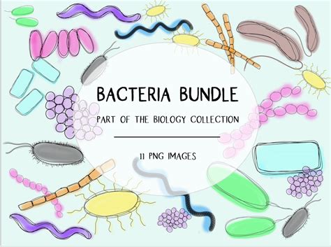 Bacteria Clip Art Bundle Biology Clip Art Collection - Etsy