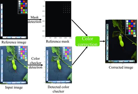 Image result for How to Use Color Calibration