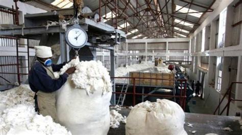 Cotton Industry 的图像结果