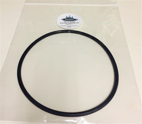 SureFit Replacement Head SealEnd Cap O-Ring for Pentair India | Ubuy