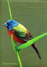 how to learn drawing with pencil