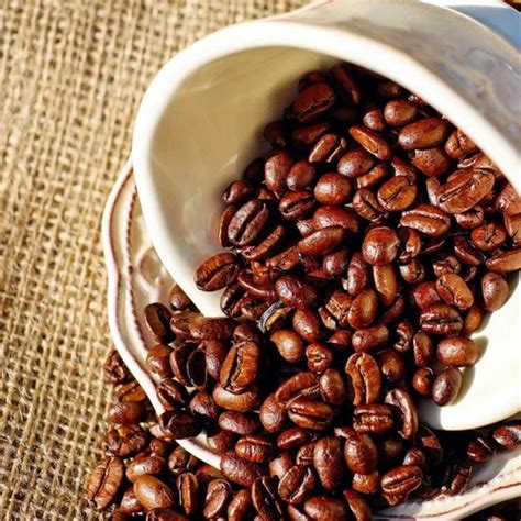 Coffee Beans and Roasted Coffee Supplier from Alappuzha, Kerala