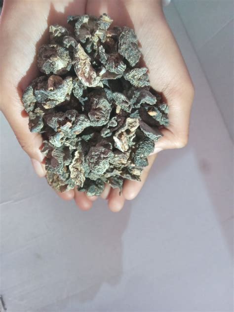 Organic Raw Dried Amla Pack for Hairs - Raw Form – Mahakaal Prasad