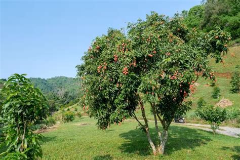Image result for Encoder 12-Bit