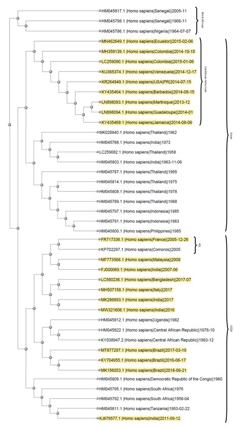 Cardiomyopathy and Death Following Chikungunya Infection: An ...