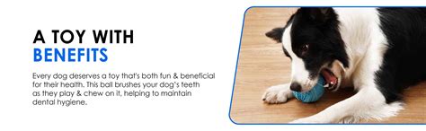 Brush Ball Dog Toy - Soft Bristles for Dental Health | PawsIndia ...