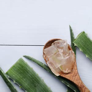 Buy Forfurs Skin Soothing Shampoo 300mL - No Harsh Chemicals and pH ...