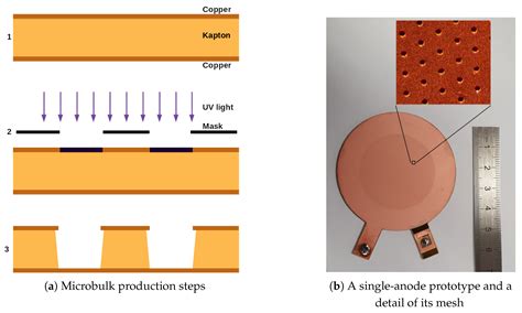 Current Status and Future Developments of Micromegas Detectors for ...