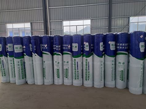 自粘聚合物防水卷材_贵州雨盾防水建材有限公司