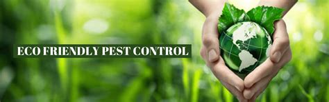 Eco Friendly Pest Control - Best Pest Control Services In Delhi-Ncr
