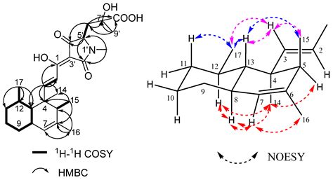 Zopfiellamides C and D, New Decalin-Type Tetramic Acid Derivatives from ...