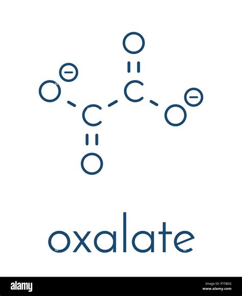 Oxalate Lewis Structure