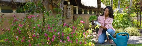 march – Sondha The Garden Shop