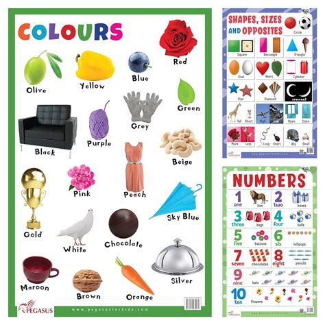 Buy Pegasus Charts Combo- Opposites, Numbers & Colors | Thick Laminated ...