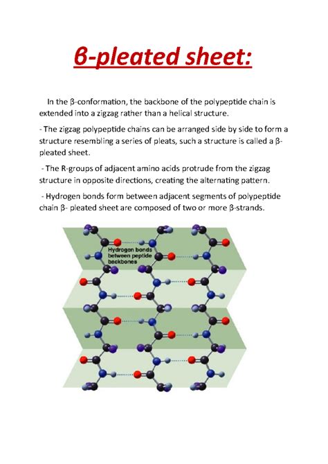What Is The Function Of Beta Pleated Sheets at Jeremy Tellez blog