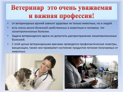 Ветеринар обучение заочно: Факультет заочного и очно-заочного обучения ...