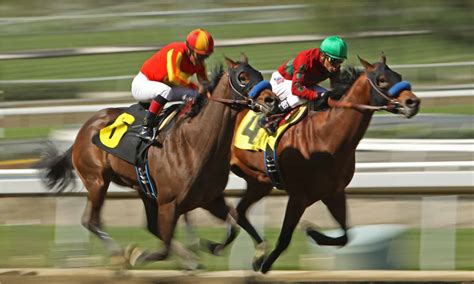 Speed Of A Horse