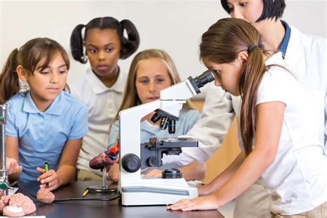 Science Project 的图像结果