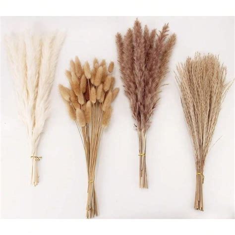 Dried Pampas Grass Decor, 100 Stems Pampas Grass Contains Bunny Tails ...