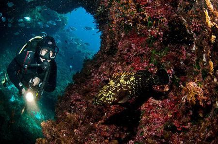 Diving in Gozo, Vehicles for divers | Mayjo car rentals