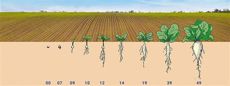 Topic of the month – April 2020 | Lechler