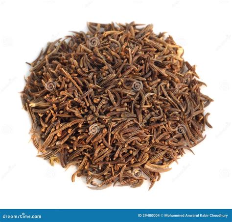 Shahi Jeera- A Special Type Of Cummins Of Indian Subcontinent Stock ...
