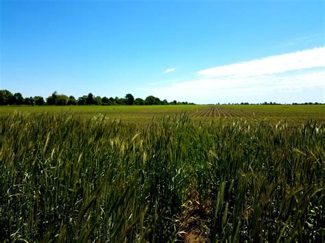 THE BEST Fun Activities & Games in Washington (w/ Photos)