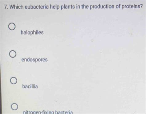 Solved: Which eubacteria help plants in the production of proteins ...
