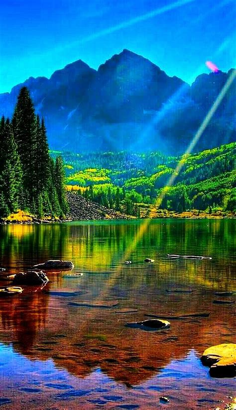 Whats A Bonita at Isabel Gutierrez blog