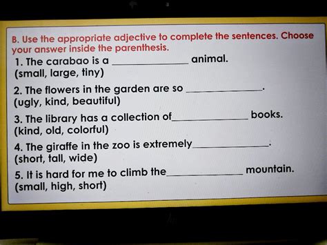 B. Use the appropriate adjective to complete the sentences. Choose your a..
