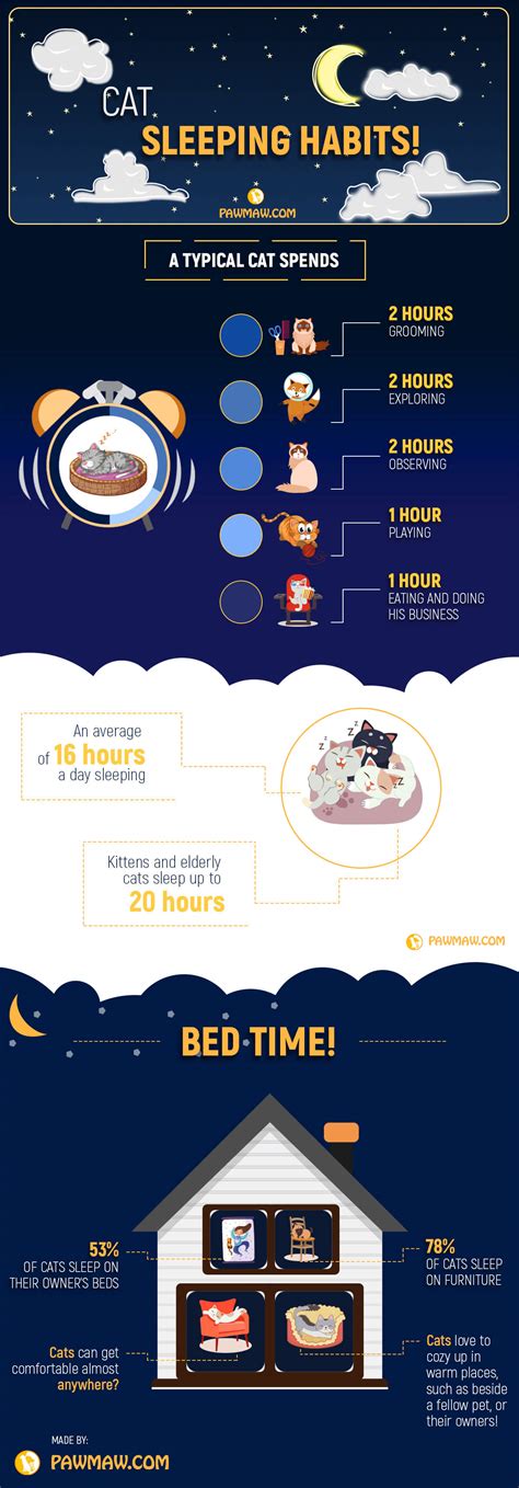 10 razones por las que tu gato duerme mucho más de lo habitual | Guinguette Marais Poitevin