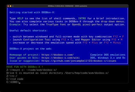 Masm DOSBox 的图像结果