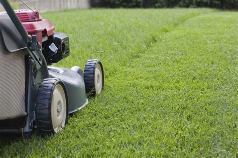 Grass Cutting | Rays Garden Service