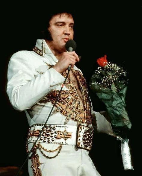 Elvis live in Louiville may 21 1977. | Elvis presley, Elvis presley ...
