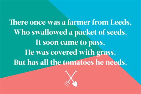 20 quirky limericks for kids that everyone will find funny – Artofit