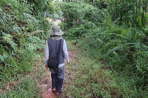 Jalan Jalan Toraja - Rantepao | Tripadvisor