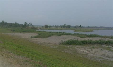 Matmora (Assam) Geo-tube Embankment on Brahmaputra: State Glorifies ...