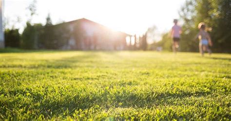 Image result for CSAA Insurance Add