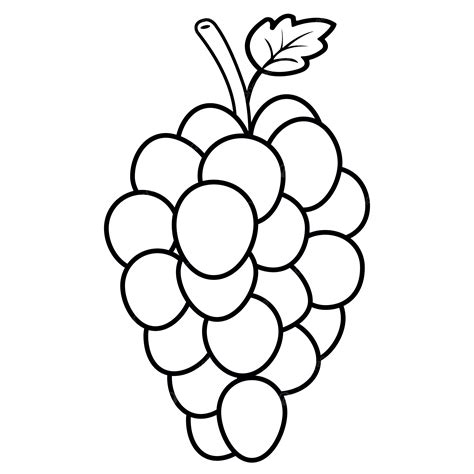 Grapes Line Drawing Grapes Fruit Drawing Black And White Vector Free