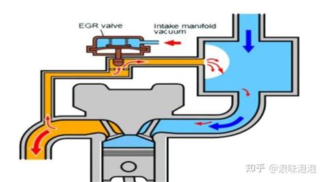egr. 的图像结果