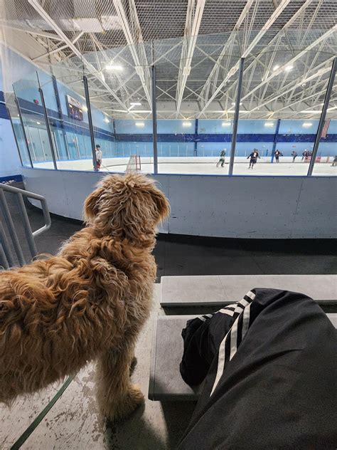 ICENTER SALEM - Salem NH - Hours, Directions, Reviews - Loc8NearMe