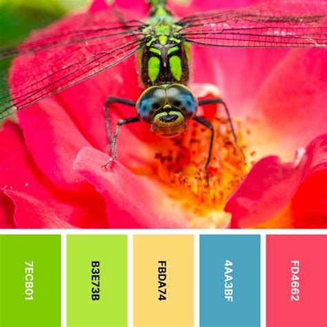 Nature Paper Color Set 的图像结果