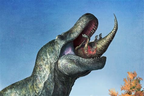 T rex’s ‘ferocious’ fangs were hidden by lizard-like lips, say ...
