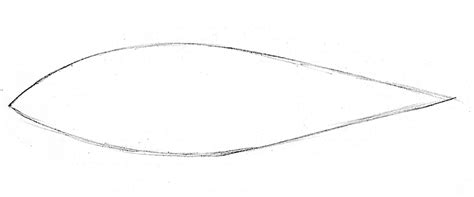 Fische zeichnen ganz einfach und professionell | Adobe