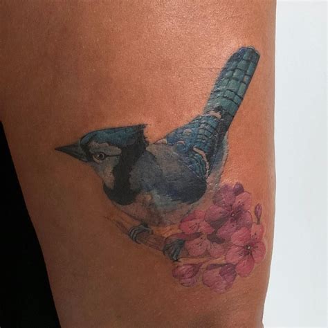 Blue Jay Bird Tattoo Designs