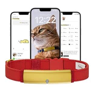 Catlog Starter Set (M, [Starter Set] Gold × Red) - Healthcare Tracker ...