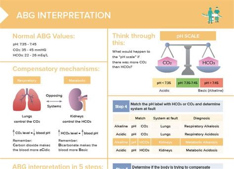 Image result for Normal Values in ABG Interpretation