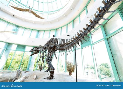 Raleigh, NC - USA - 5-10-2023: Dinosaur Exhibit at the Museum of ...