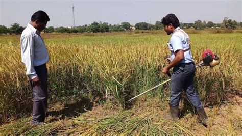 फसल कटाई की सबसे सस्ती मशीन, किसानों के श्रम और समय दोनों की होगी अच्छी ...