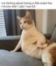 Image result for Fixed and Dynamic Array Example